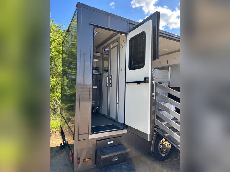 Iveco Daily Horse Transporter | Horse Truck | Toll-Free | New TÜV