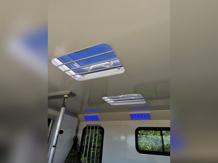 Iveco Daily Horse Transporter | Horse Truck | Toll-Free | New TÜV