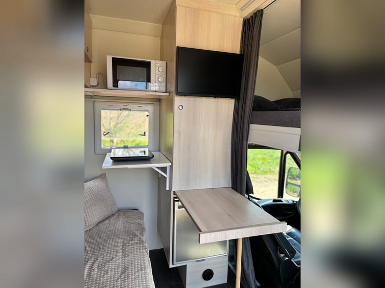 Iveco Daily Horse Transporter | Horse Truck | Toll-Free | New TÜV