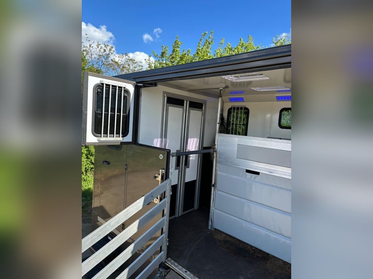 Iveco Daily Horse Transporter | Horse Truck | Toll-Free | New TÜV