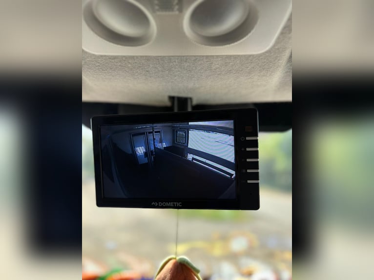 Iveco Daily Horse Transporter | Horse Truck | Toll-Free | New TÜV