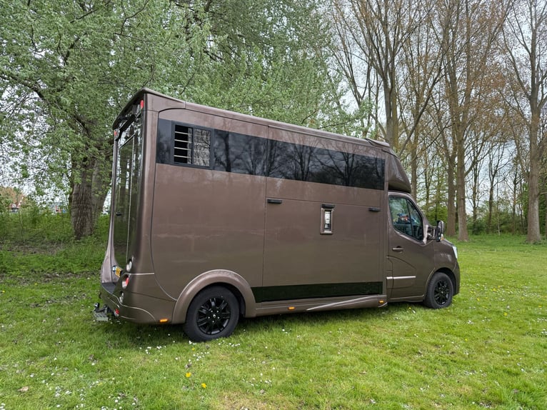 Luxury horse transport vehicle Renault Master