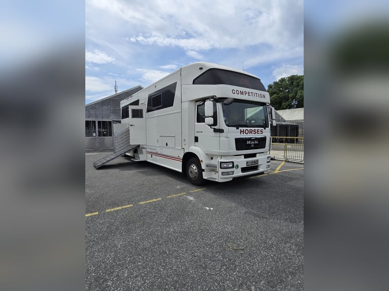 MAN TGM 15.290 4x2 LL – AK body, first registration 2012, Pop Out, for 5 horses