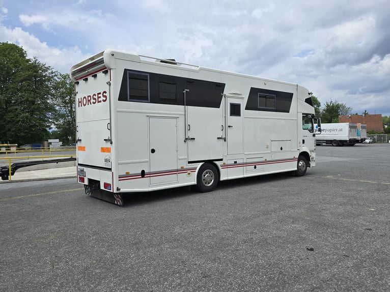 MAN TGM 15.290 4x2 LL – AK body, first registration 2012, Pop Out, for 5 horses