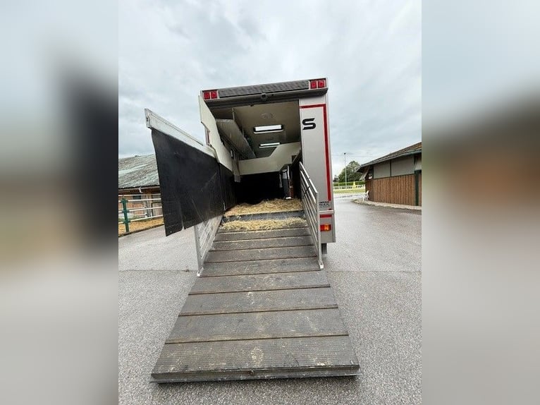 Mercedes-Benz Atego Horse Transport Truck with JL Motorhome featuring Pop-Out, 4 seats, suitable for