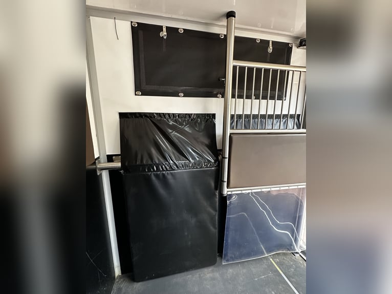 Mercedes-Benz Horse Transporter