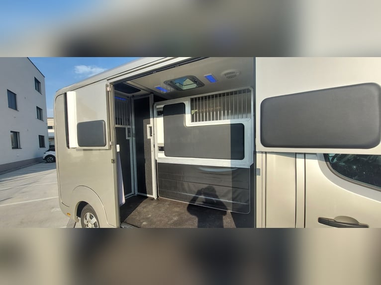 Renault Master 170 HP Euro 6 STX – Horse Transporter HARAS