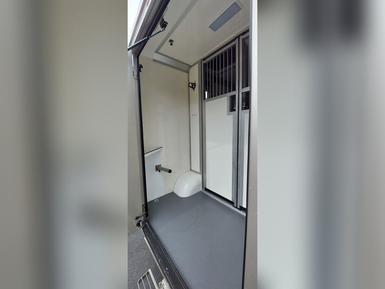 Renault Master 170 HP Euro 6 STX – Horse Transporter HARAS