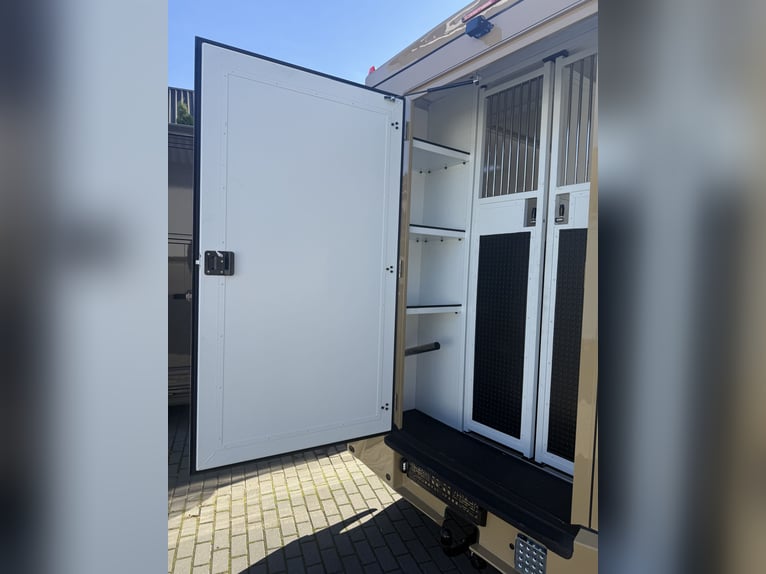 Renault Master 2022 | New 5-Seater Horsebox for a Stallion
