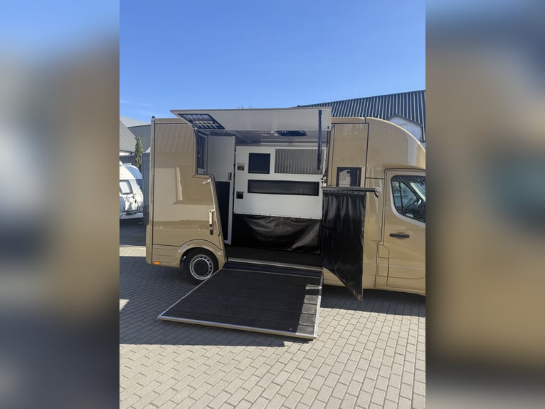 Renault Master 2022 | New 5-Seater Horsebox for a Stallion