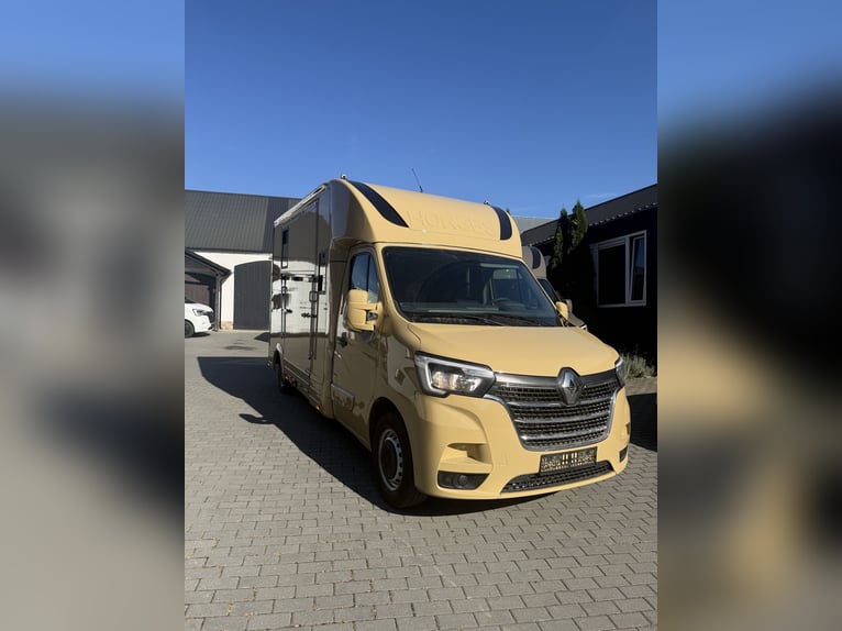 Renault Master 2022 | New 5-Seater Horsebox for a Stallion