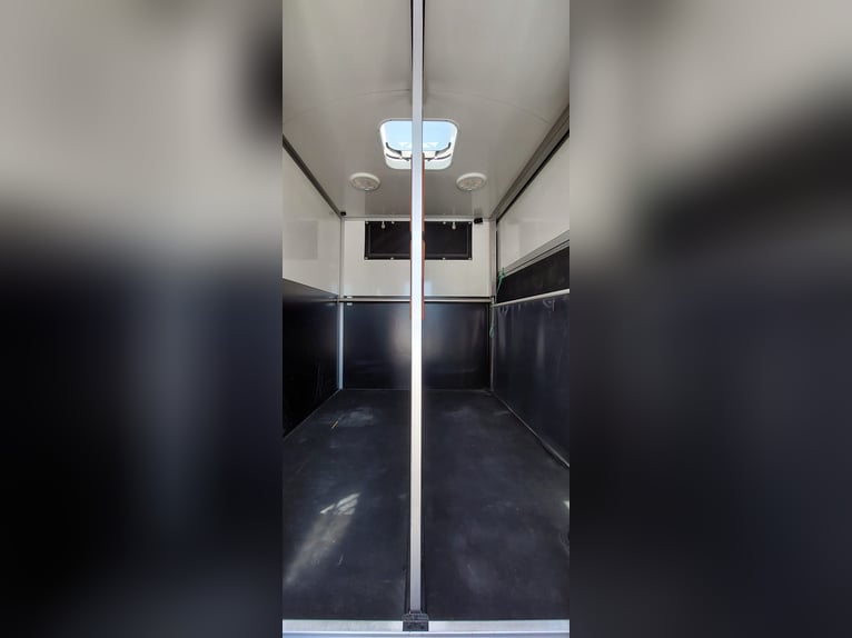 🚚 Renault Master JL Mini | 180 HP Automatic | Exclusive horse transporter for 1–2 horses | HARAS-H