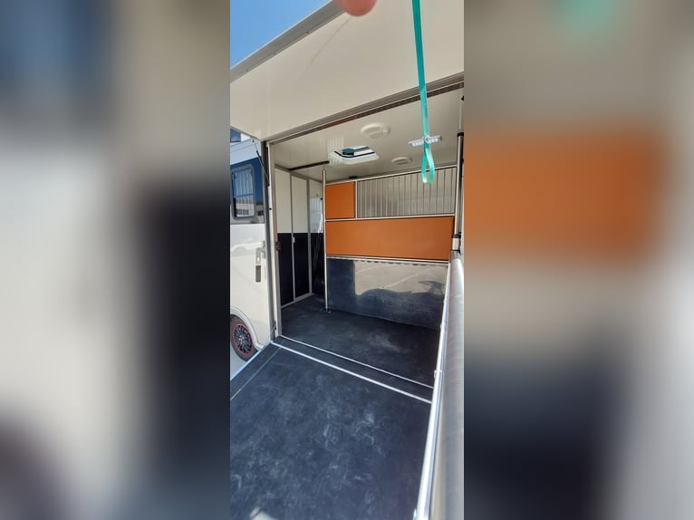 🚚 Renault Master JL Mini | 180 HP Automatic | Exclusive horse transporter for 1–2 horses | HARAS-H