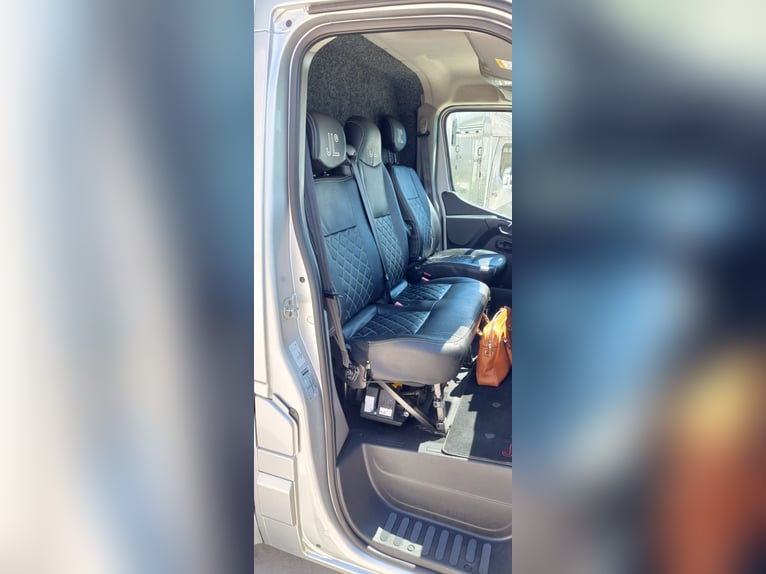 🚚 Renault Master JL Mini | 180 HP Automatic | Exclusive horse transporter for 1–2 horses | HARAS-H