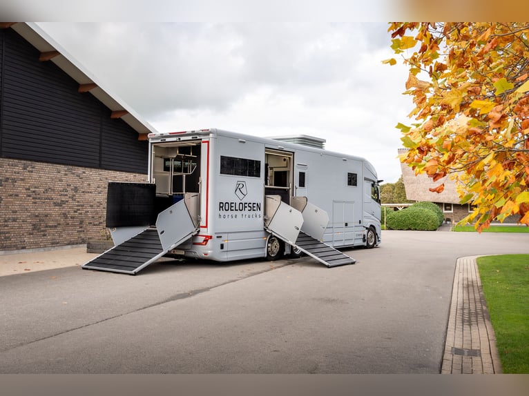 Roelofsen RR6 XL Profile Liner Horse Transporter Horsetruck with Pop-Out, 5-Horse Truck