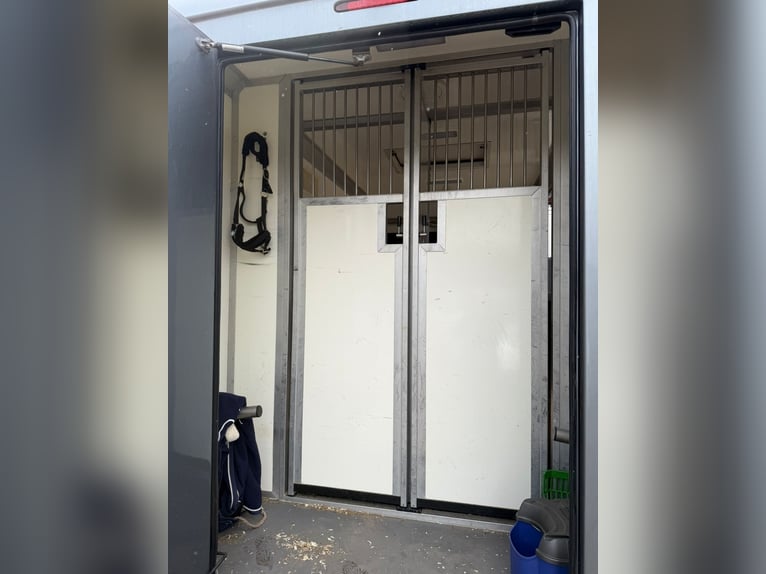 STX Opel Movano Luxury | 5-Seater & Top Sleeper | Leather | 3.5t (Class B)