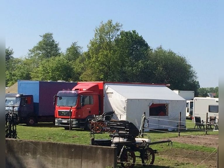 MAN TGL 12.220 für drei Pferde + zwei Kutschen inkl. Stallzelt 