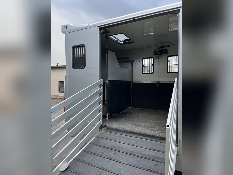 MAN TGL Tagesturniertransporter 4 Pferde 