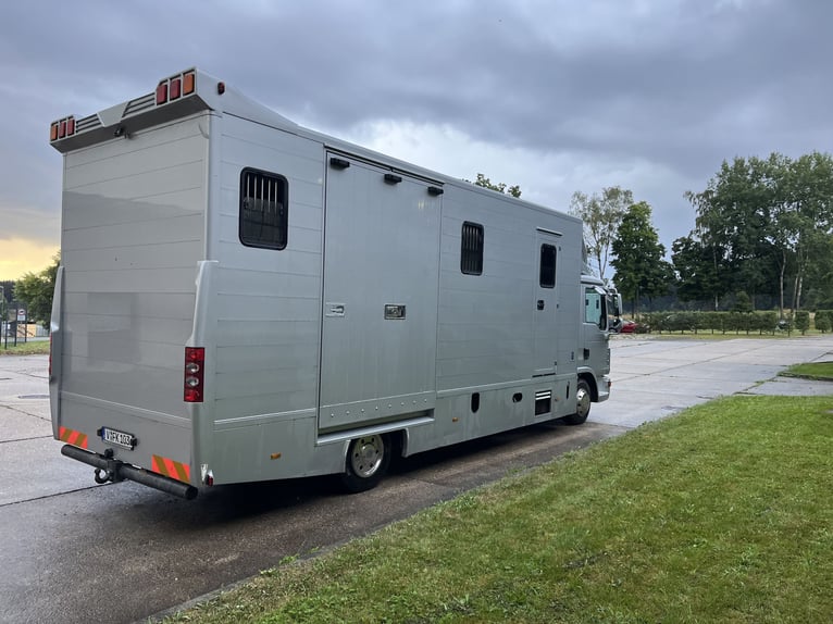 MAN TGL Tagesturniertransporter 4 Pferde 