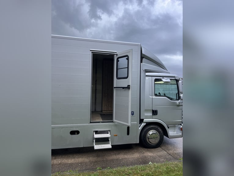MAN TGL Tagesturniertransporter 4 Pferde 