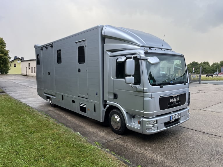MAN TGL Tagesturniertransporter 4 Pferde 