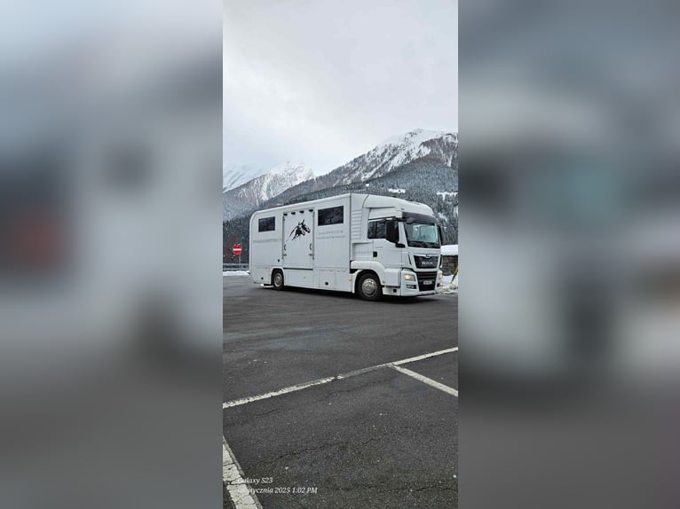 MAN  TGS 18.330   7 HORSES 