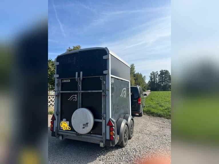 Pferdeanhänger Ifor Williams HB506
