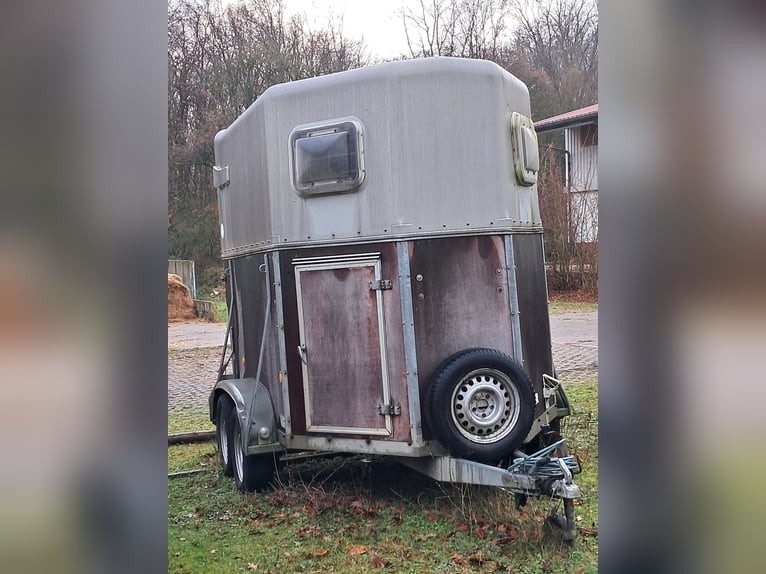 Pferdeanhänger mit Lebenserfahrung 