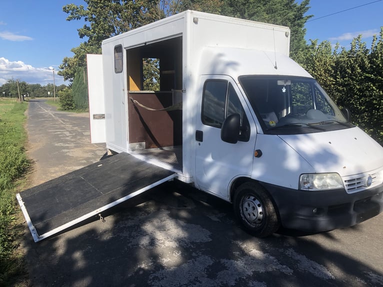 Pferdetransporter 3,5 to