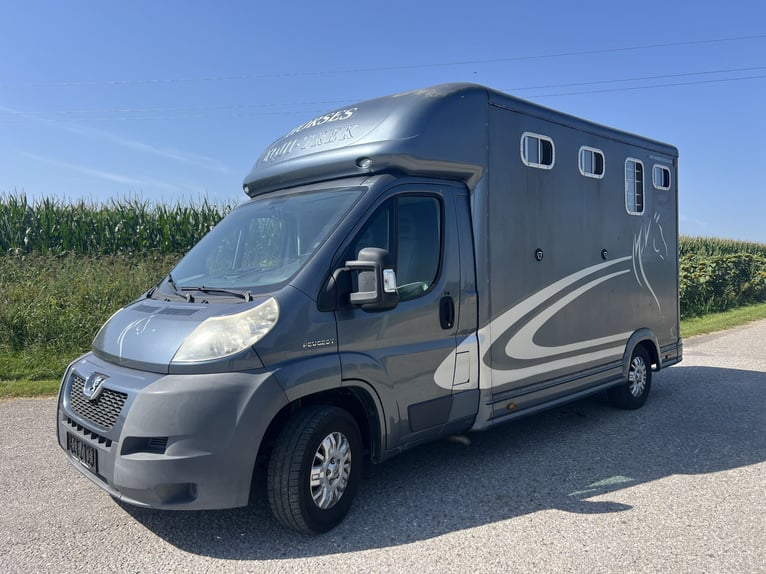 Pferdetransporteuer Peugeot Boxer