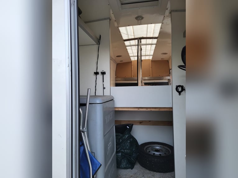 Renault dci120 Pferdetransporter