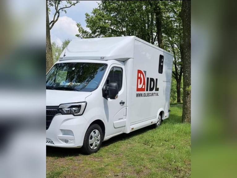 Renault JK Horsebox, Stallion Version!