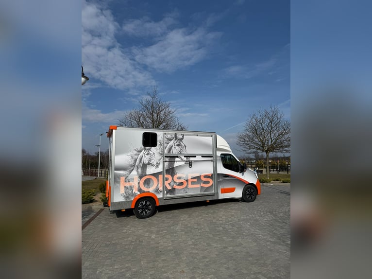 Renault Master 2.3 Horsebox - Excellent Condition