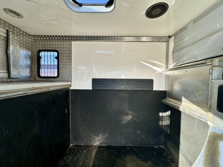 Renault Master Böckmann Compact TL 2-Horse Trailer Compact Automatic Truck with Tack Room