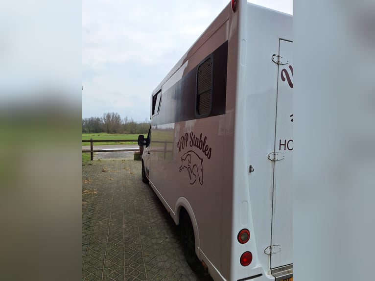 Renault Master Theault paardenwagen hengsten uitvoering