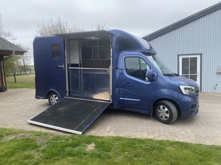 Renault Master Zwei-Pferdetransporter