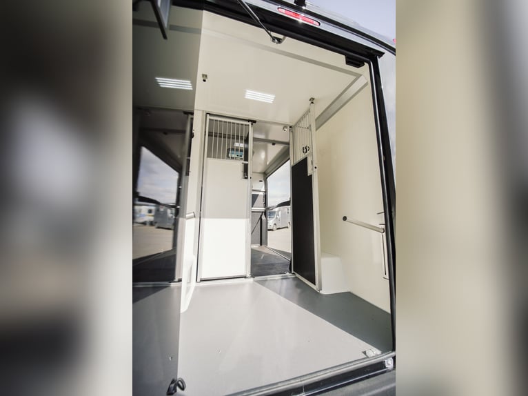 STX 2 Horse – Exclusive Mercedes Sprinter