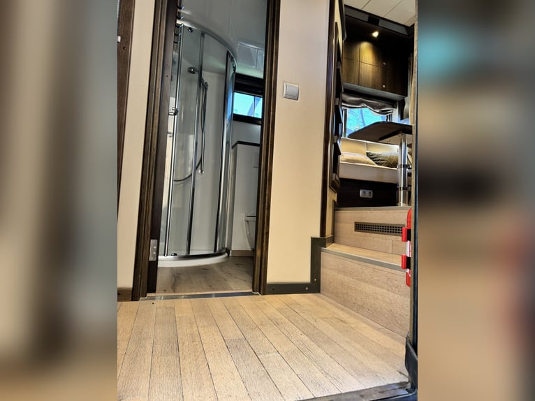 STX LKW Pferdewohnmobil Ivevo Stralis