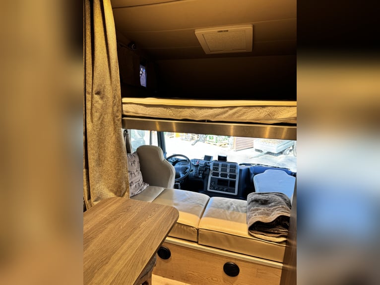 STX Pferdewohnmobil LKW IVECO Stralis 360 