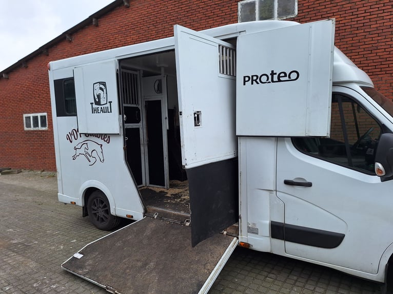 Theault Proteo Hengstenuitvoering Renault Master 2014  