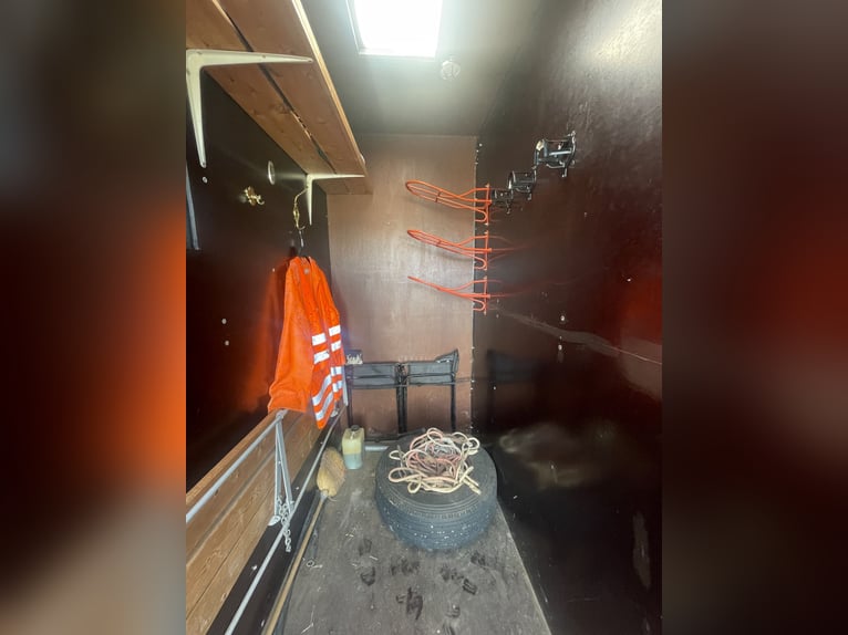 Top gepflegter Pferdetransporter variabel bis 5 Pferde