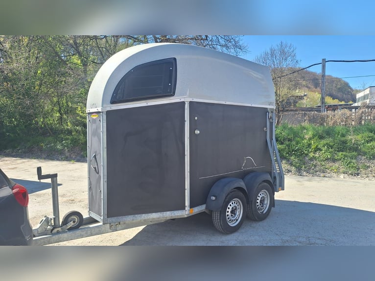 Böckmann Horse Trailer Uno