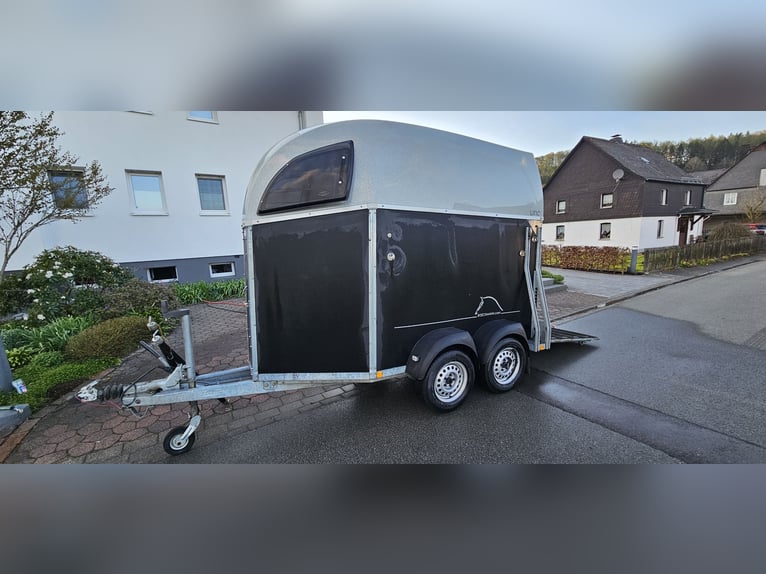Böckmann Horse Trailer Uno
