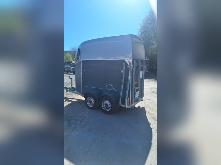 Böckmann Horse Trailer Uno