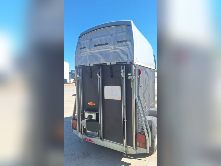 Böckmann Horse Trailer Uno