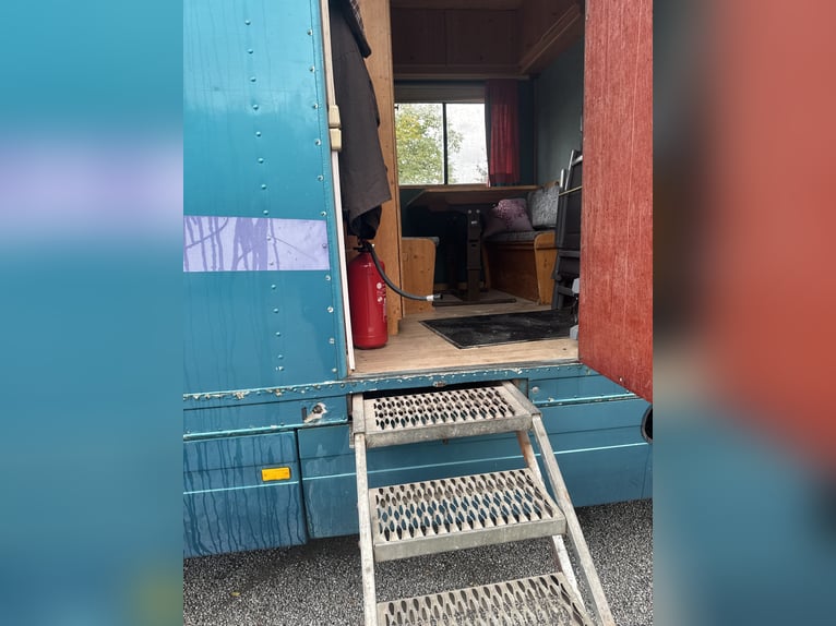 Mercedes 814 horse truck, space for 4 horses and 7 people