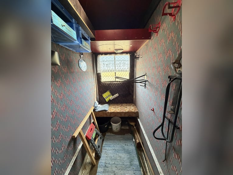 Mercedes-Benz 814 Horsebox