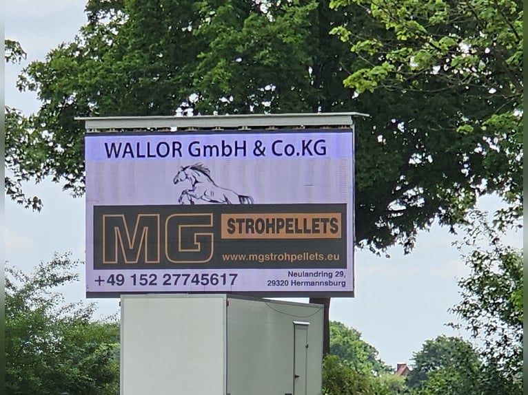 Strohpellets: nur 34€/Monat und Ihre Pferdebox ist immer sauber!