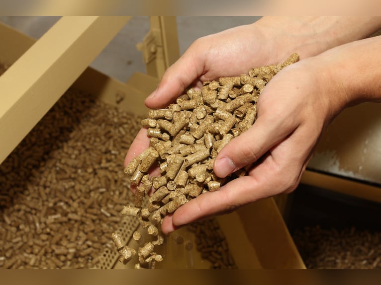 Strohpellets: nur 34€/Monat und Ihre Pferdebox ist immer sauber!