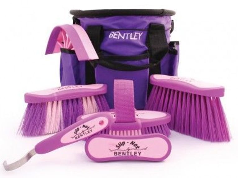Quality horse brushes 